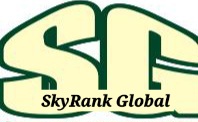 SkyRank Service Domain (NIN, BVN, CAC, TIN & CO)